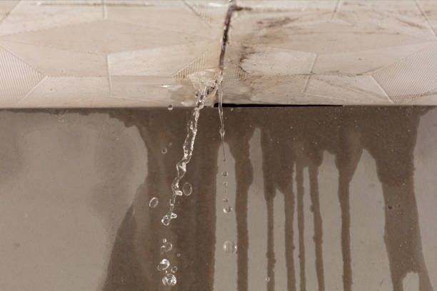 Professional Water Extraction technician working in Angola, LA